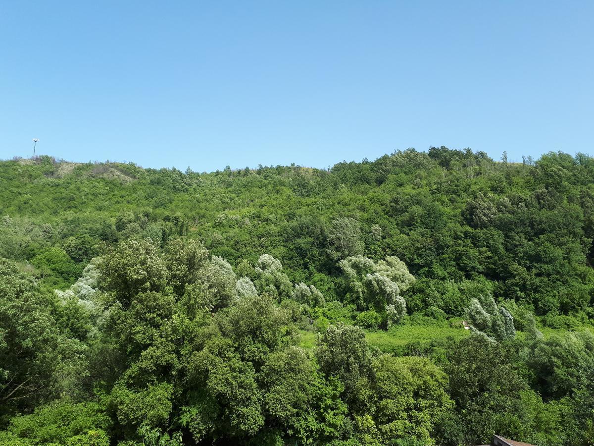 Hotel Edelweiss Laino Borgo 外观 照片